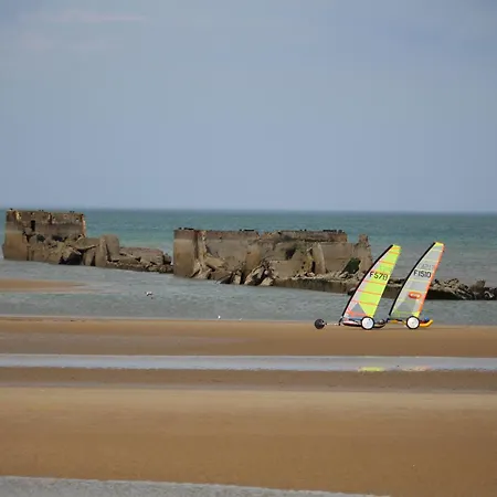Les Chats Pitres Maison Au Calme Renovee Avec Jardin, Terrasse Amenagee, Transats, Abri A Velo, Parking Gratuit, 5 Mn A Pied Du Centre Proche Des Plages Du Debarquement Bayeux