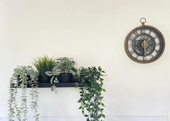 Les Chats Pitres Maison Au Calme Renovee Avec Jardin, Terrasse Amenagee, Transats, Abri A Velo, Parking Gratuit, 5 Mn A Pied Du Centre Proche Des Plages Du Debarquement Bayeux