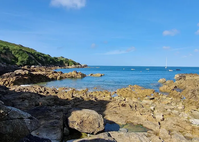 Les Chats Pitres Maison Au Calme Renovee Avec Jardin, Terrasse Amenagee, Transats, Abri A Velo, Parking Gratuit, 5 Mn A Pied Du Centre Proche Des Plages Du Debarquement * Bayeux