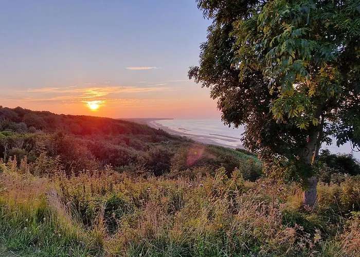 Les Chats Pitres Maison Au Calme Renovee Avec Jardin, Terrasse Amenagee, Transats, Abri A Velo, Parking Gratuit, 5 Mn A Pied Du Centre Proche Des Plages Du Debarquement Prázdninový dům *