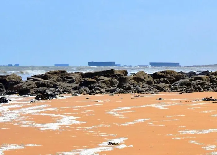 Les Chats Pitres Maison Au Calme Renovee Avec Jardin, Terrasse Amenagee, Transats, Abri A Velo, Parking Gratuit, 5 Mn A Pied Du Centre Proche Des Plages Du Debarquement Bayeux